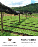 Mex Water Decaf