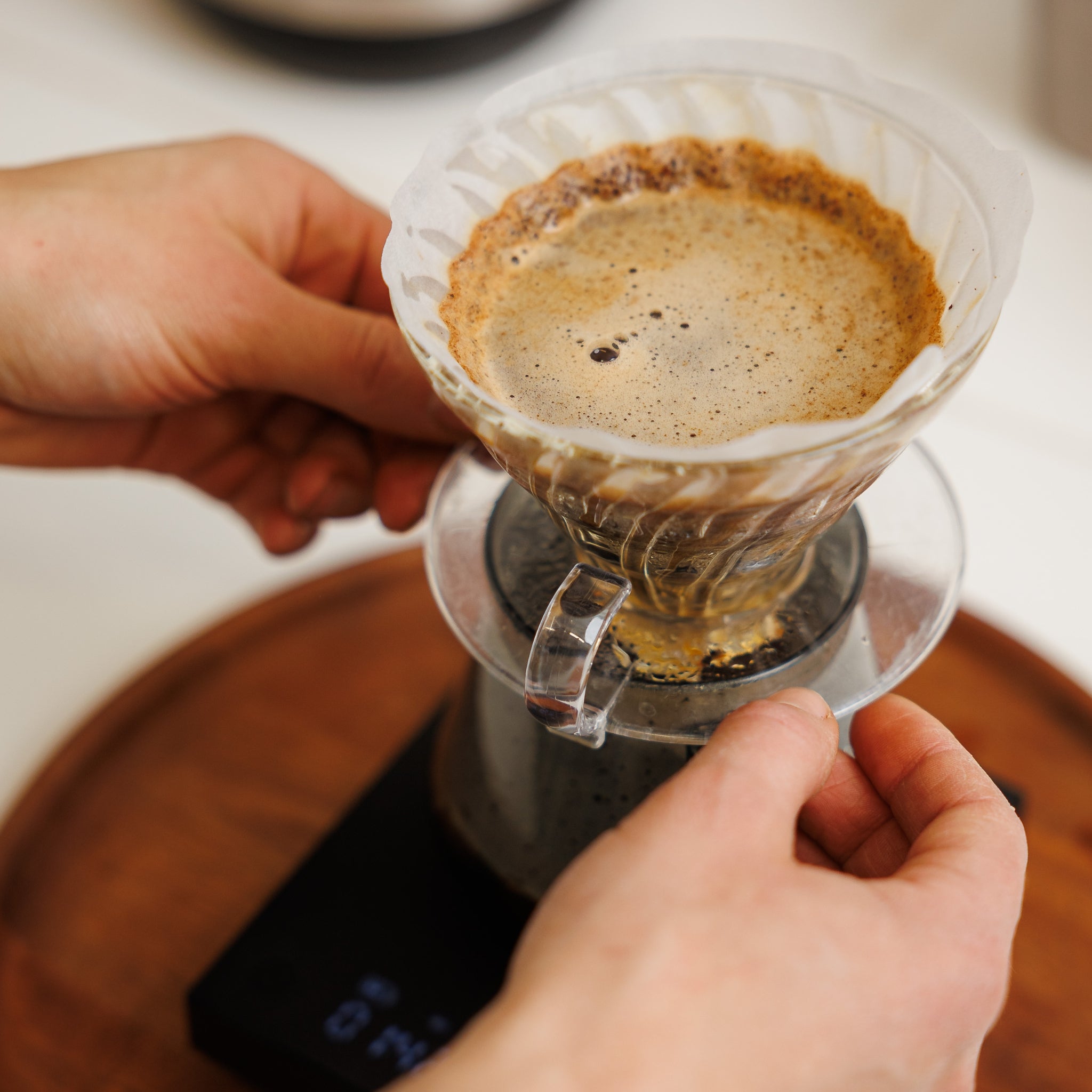 Introduction to Coffee