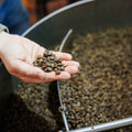 Coffee Roasting Course - Full Day