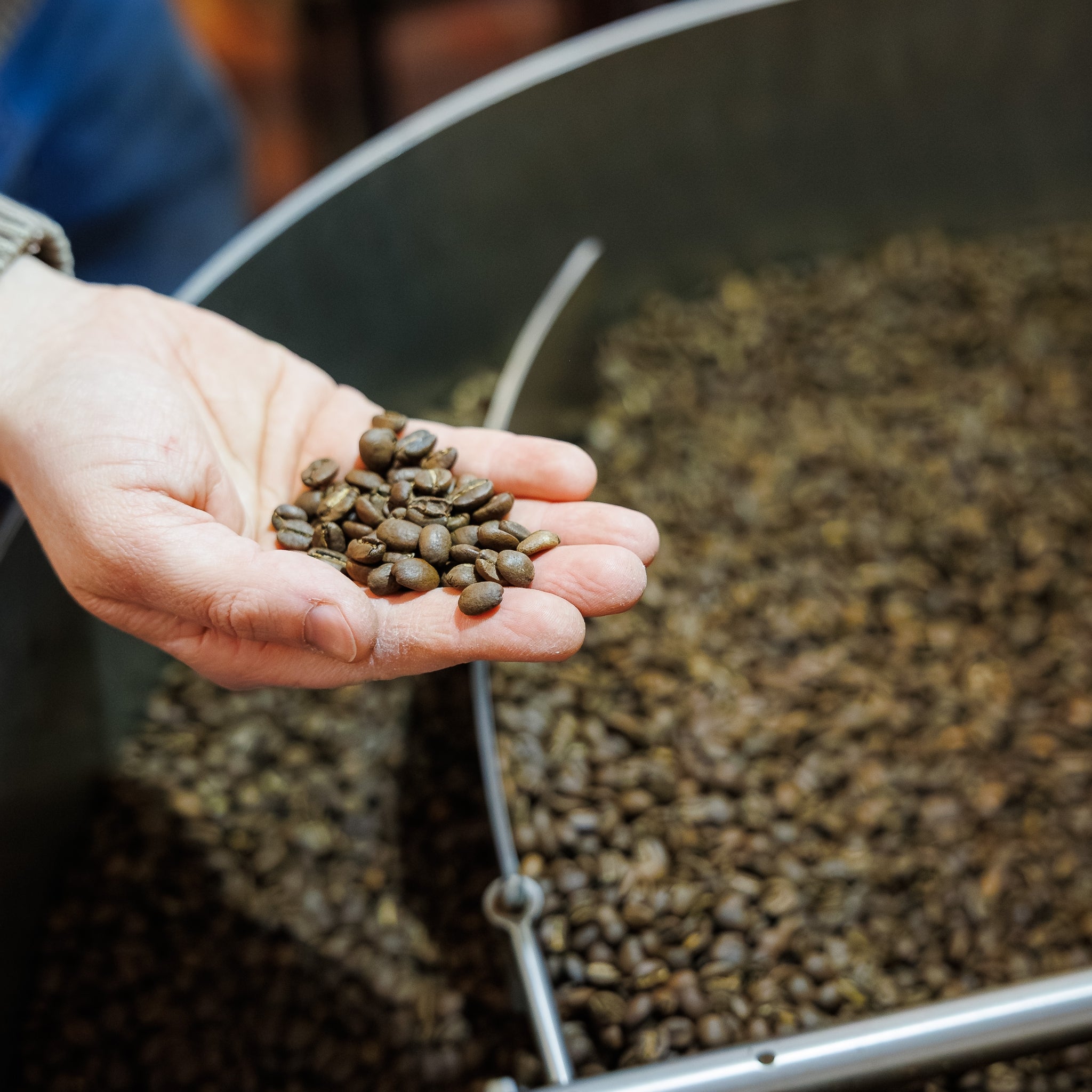 Coffee Roasting Course - Full Day