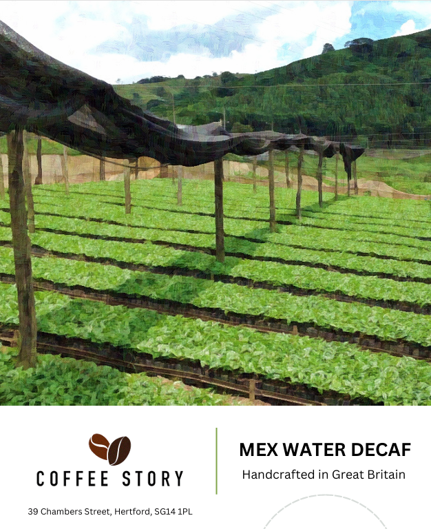 Mex Water Decaf